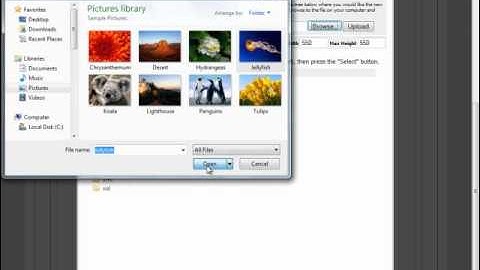 mojoportal developers