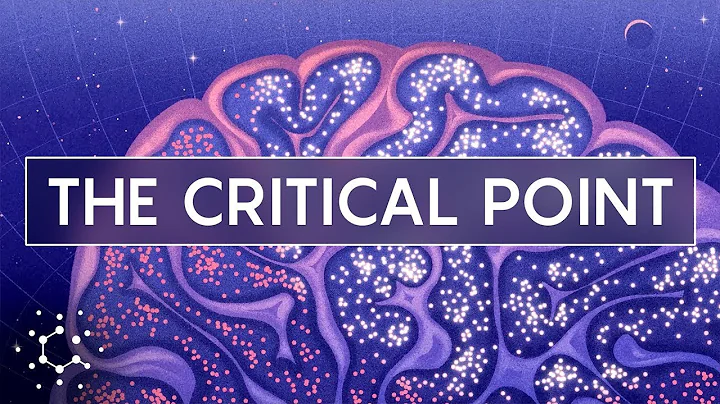 Could One Physics Theory Unlock the Mysteries of the Brain?