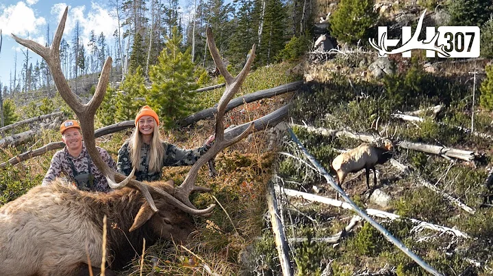 Late Season Wyoming Bull Elk Hunt!! (VAPOR TRAIL 450 yards) 4K