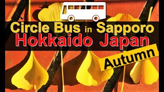 HOKKAIDO X / SAMPLE ITINERARY/ SAPPORO LOOP BUS in AUTUMN / 北海道X / 行程様本 / 札幌循環巴士 - 賞紅葉之旅