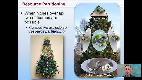 Resource Partitioning