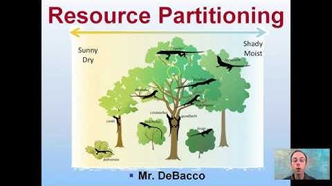 Resource Partitioning