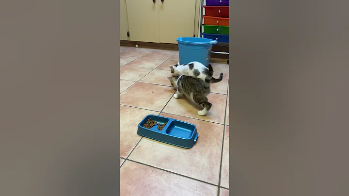 Wobbles and Jimmy