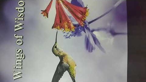 Class-5,Subject-Moral science, Video-5, Moral of the stories and Revision of Unit-1 by Mrs Jyoti