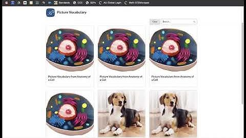 Stemscopes Student Navigation Video