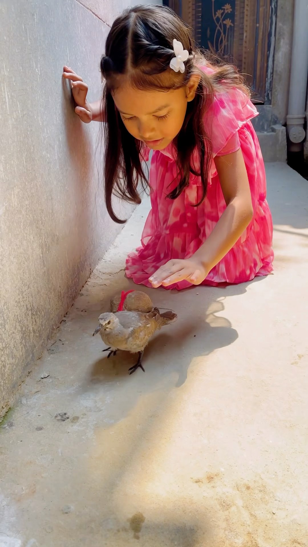 Reedishna Ko Mili Bird