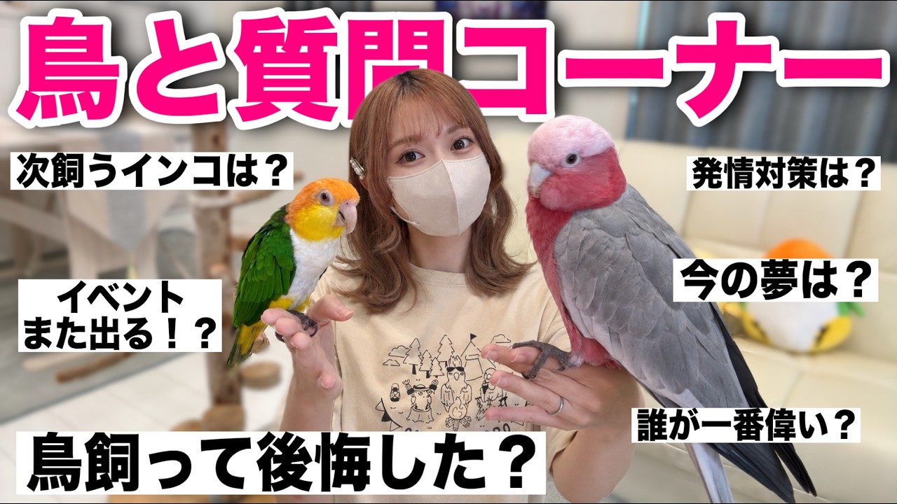 Q&A Corner] A bird owner with 7 years of experience will honestly