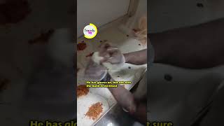 This Inmate is going viral for showing off how he makes wraps of burritos from his bunk in prison