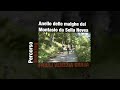 Anello delle malghe del Montasio da Sella Nevea - Fontanone di Goriuda - Percorso Trekking
