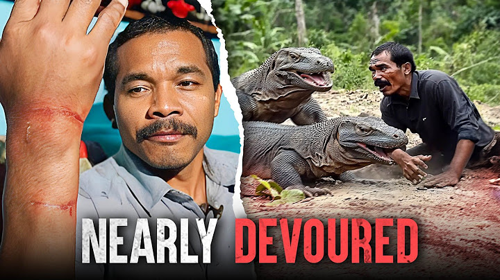 The Deadliest Komodo Dragon Attacks