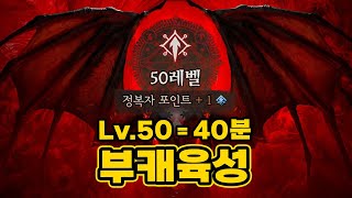 디아4 부캐육성 50렙 찍기 5분안에 보여드림[고속버스공략]