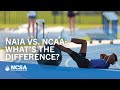NAIA vs. NCAA: What’s the Difference?