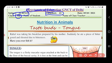 science worksheet23 class7 (5/10/21)English medium/class7scienceworkshet23/#scienceworksheet23class7