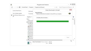 How to uninstall Video Downloader malware from Microsoft Windows (Virus Removal Guide)