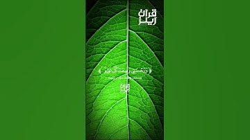 قرآن كريم🍁القارئ مشاري فالح🍁(سورة الأعراف)2