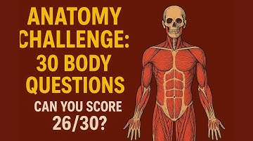 Anatomy Challenge: 30 Body Questions — Can You Score 26/30?