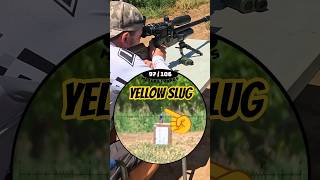 Sending yellow slugs #zanprojectiles #fxairguns