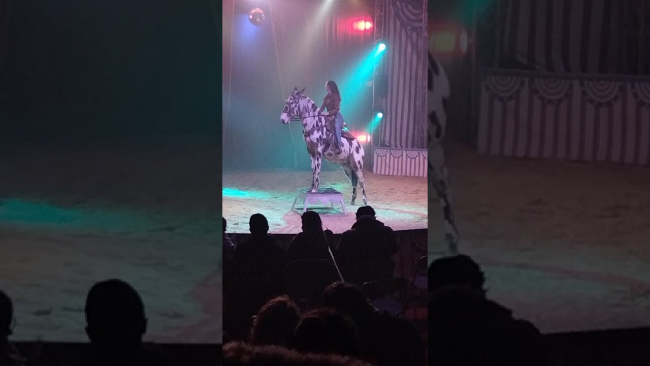 El taureau et lasso du grand cirque américain vegas 2026