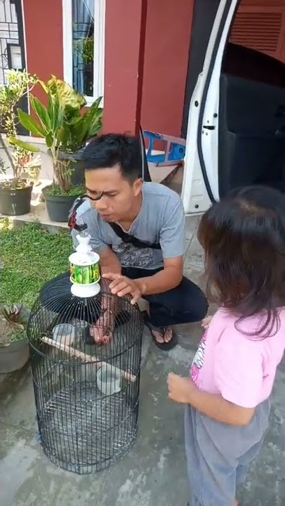 RELEASE BURUNG EMPRIT PEKING KE ALAM LIAR #SHORTS
