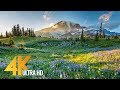 4k mount rainier national park  nature relax summer scenery  2 hrs