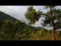 Anaikati road side shorts