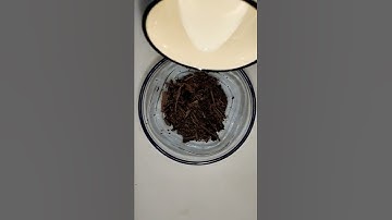 Nutella Shake | Leftover Nutella Shake | Chocolate Shake | How to Use Leftover Nutella?