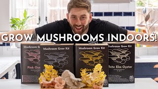 Mushroom Growing Kit Tutorial | Grow Mushrooms Using A Grow Kit