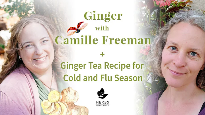 Ginger with Camille Freeman + Ginger Tea Recipe fo...