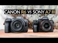 Czy Canon EOS R6 to nowy Sony A7 III, czyli mistrz relacji możliwości do ceny?