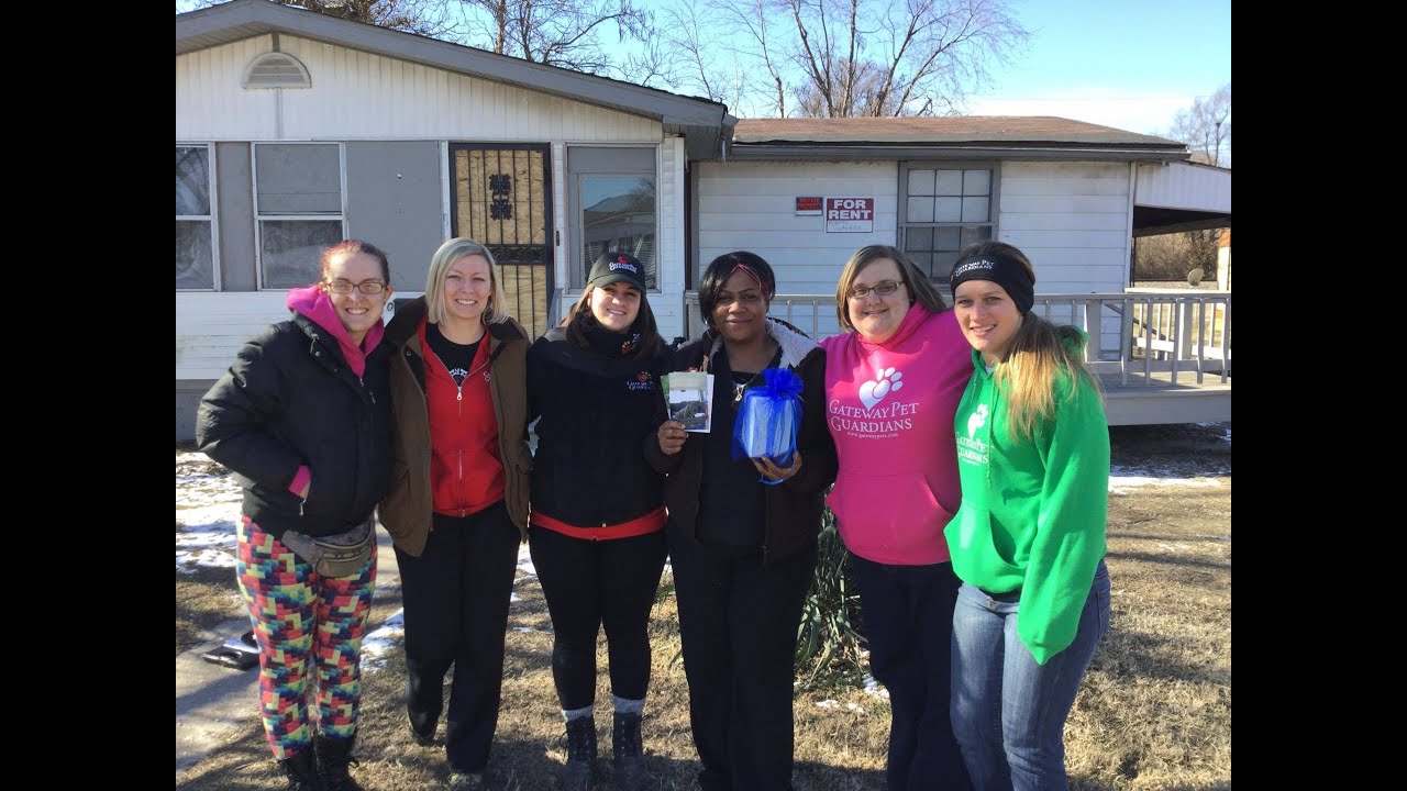 rescue dogs rock nyc Rocky's Story