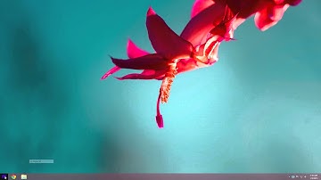 How to Find Out if Your Computer is on DHCP or Static IP Address