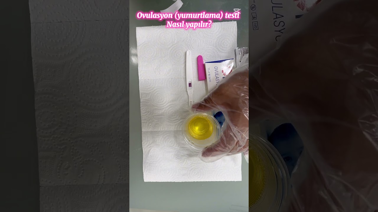 Ovulasyon testi nasıl yapılır?#gebeliktakibi #hamileliktakibi