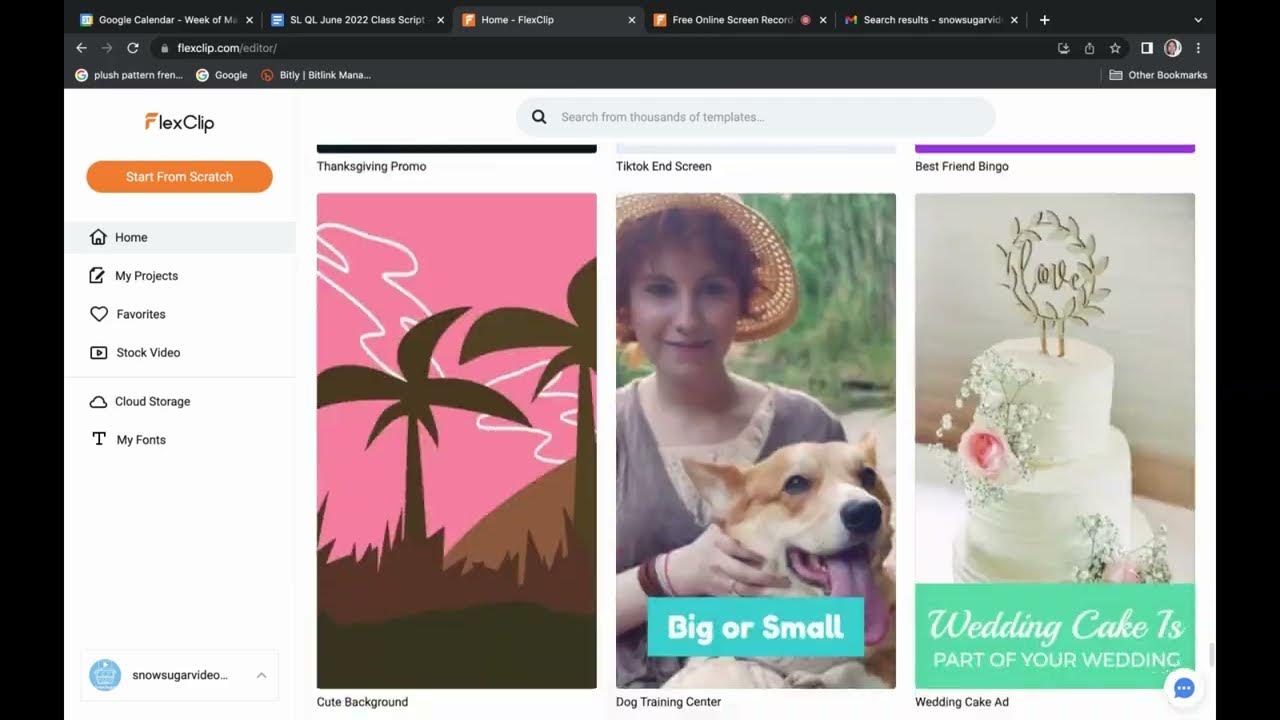 FlexClip Tutorial Online Video Editing Walkthrough