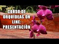 Curso de Orquideas On Line 2022: Presentación