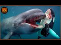 Orca Attack | When Ocean Monsters Hunt With Intelligence | Weekly Compilation