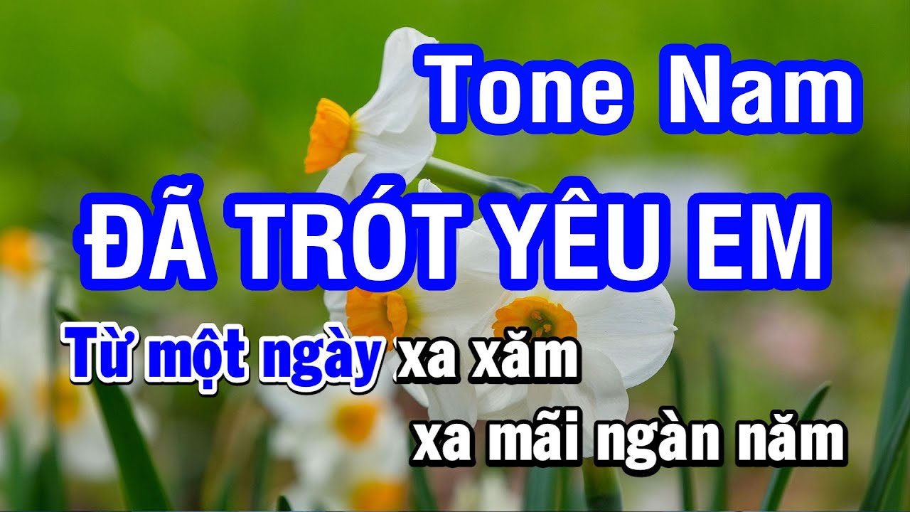 đa Trot Yeu Em Khang Việt Shazam