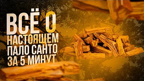 ВСЁ о Пало Санто за 5 минут! Спец выпуск. Palo Santo как использовать? Все секреты в одном видео.