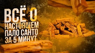 ВСЁ о Пало Санто за 5 минут! Спец выпуск. Palo Santo как использовать? Все секреты в одном видео.