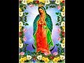 A oração a Virgem de Guadalupe irá te ajudar a receber um milagre financeiro