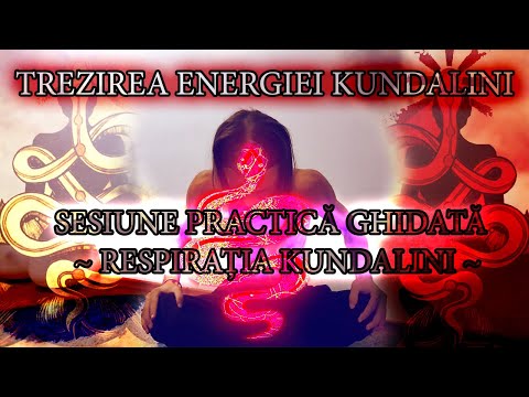 Video: Pentru cine este a doua rundă de verificări de stimulare?