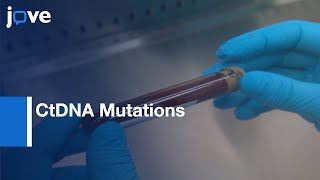 CtDNA Mutations Detection by  Next Generation Sequencing (NGS) | Protocol Preview