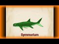 Palaeoperfil: Symmorium, Chondrichthyes.