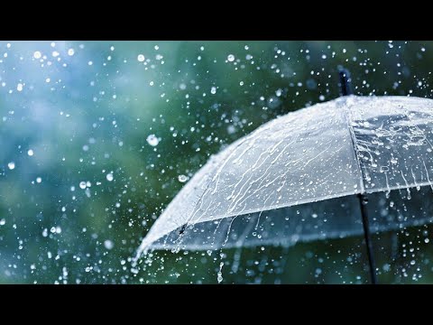 Rain status video  Barish whatsapp status and natural status video  shorts  youtubevideo