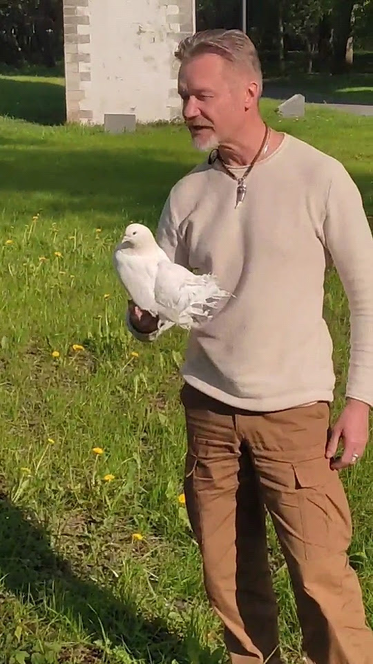 Голубь Наташа🐦 звезда РЕН ТВ Смотрите в следующем выпуске программы ...