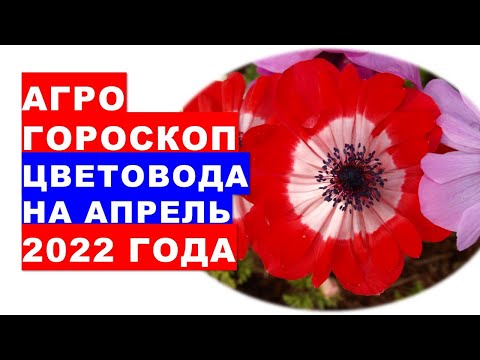 Агрогороскоп цветовода на апрель 2022 года