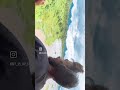 ıllıllı 𝐤ⒺˢⒾｎｇ卂 ıllıllı
