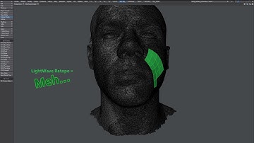 LightWave plugin - LW retopo - more notes
