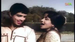 சீட்டு கட்டு ராஜா Seettu Kattu Raja Song Song-4K HD Video Song #mgrsongs #tamiloldsongs