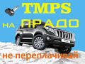 Недорогие датчики TMPS на Тойоту Прадо, установка и прописка.