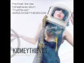 Kidneythieves - Freeky People